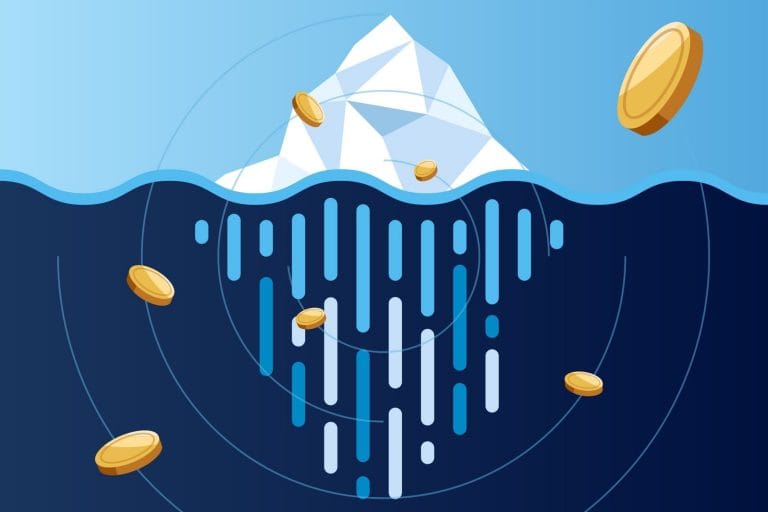 Software project costs ilustration